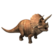 Triceratops