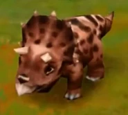 Triceratops (Baby) (Lvl. 21-24).jpg (15 KB) Triceratops (Baby) (Level 21 to 24) in Jurassic Park: Builder.