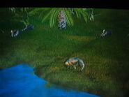 4 Pachycephalosaurus are seen sleeping in "JPOG."