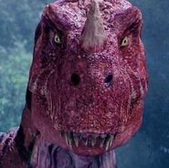 Ceratosaurus23.jpg (79 kB)