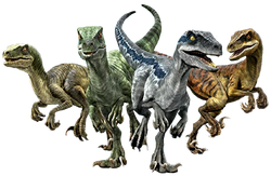 Fysica Zaklampen Enzovoorts Jurassic World Velociraptor Pack | Jurassic Park Wiki | Fandom