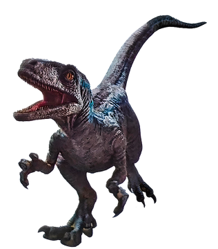 https://static.wikia.nocookie.net/jurassicpark/images/a/a2/Jurassic_world_dominon_velociraptorbeta_render_png_by_junior3dsymas_df1cykp-fullview.png/revision/latest/thumbnail/width/360/height/360?cb=20220712042534&path-prefix=es