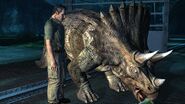 Triceratops