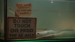 Vlcsnap-2024-07-29-10h44m55s125