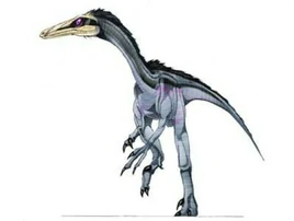 JPI Araucanoraptor
