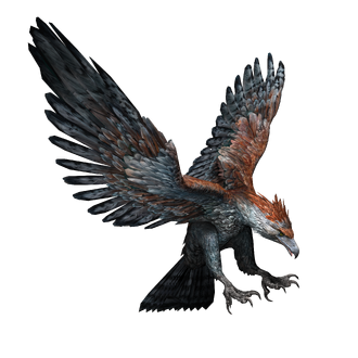 JWA PressKit HaastEagle