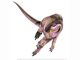 Orodromeus big