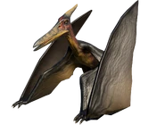 PteraJungle.png (826 kB)