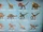 Apatosaurus/Toys