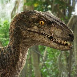 Echo, Jurassic Park Wiki