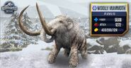 Max Woolly Mammoth