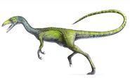 Compsoghnathus image medium