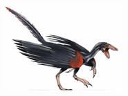 Archaeopteryx