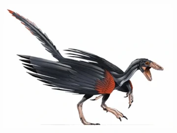 Archaeopteryx | Jurassic Park Wiki | Fandom