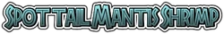 Mantisshrimpname