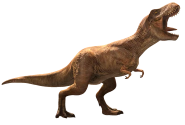 Tyrannosaurus rex/JW: A | Jurassic Park Wiki | Fandom