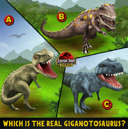 Which is the real Giganotosaurus