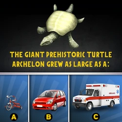 Archelon Jurassic Park Wiki Fandom