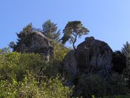 Ceremonial Rock