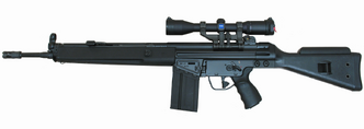 Heckler and Koch HK 91