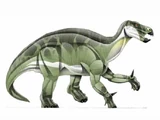 Iguanodonte