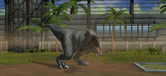 Jurassic World Majungasaurus (16)