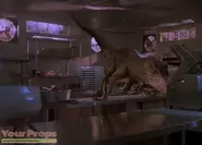 Raptor-Claw.webp (42 kio)