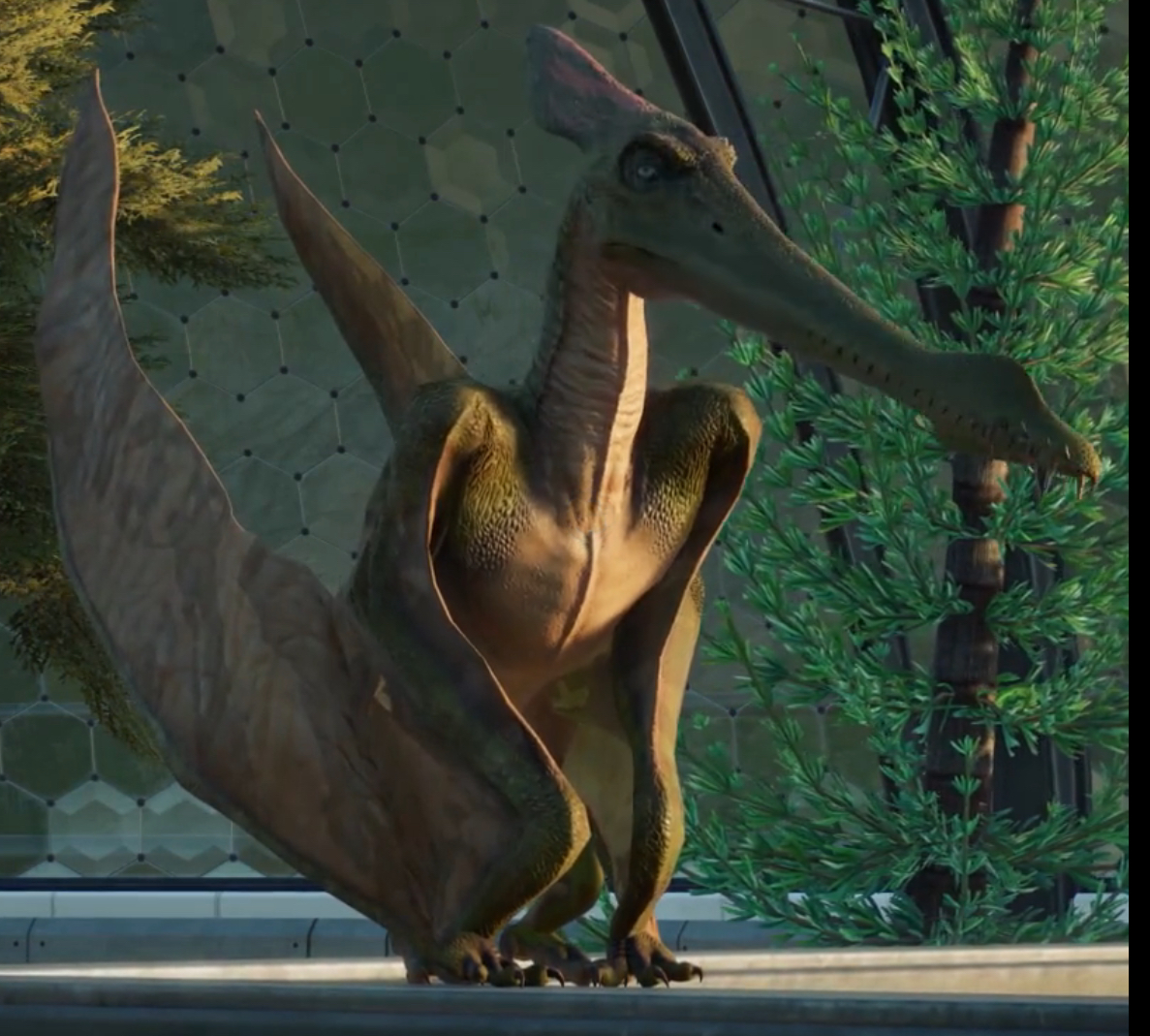 Jurassic World The Game  Pterodactyl + Amargassaurus Level