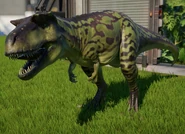 Тип "Лесной"