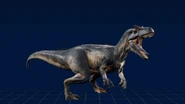 AllosaurusWebsite.png (161 KB) Allosaurus