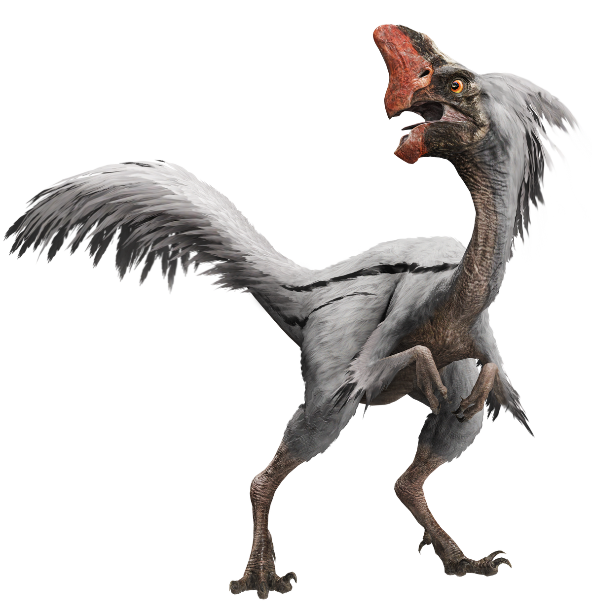Oviraptor Jurassic Park Wiki Fandom