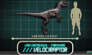 Velociraptor in Jurassic Park: Explorer