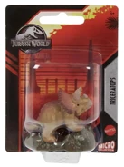 Triceratops
