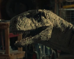 Vlcsnap-2024-05-05-12h01m59s529