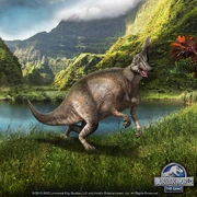 チンタオ ザゲーム1