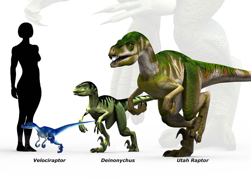 deinonychus size comparison