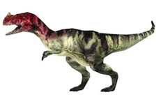 Cerato jpog.jpg (12 kB)