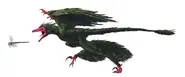 Microraptor