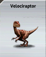 Velociraptorcard