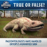 22550052 1499527670154463 2425244858299408913 n.png (525 KB)