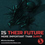 Extinction Now!