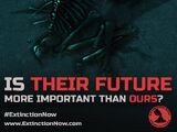 Extinction Now!