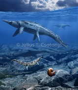 Trinacromerum Csotonyi2.jpg (244 kB)