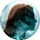 EoCICON