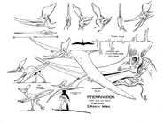 Pteranodon (Geosternbergia)