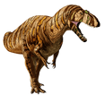 Metri.png