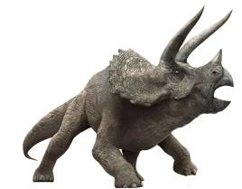 Triceratops Jurassic World