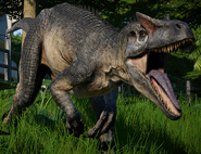 JWEAllosaurus01