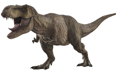 Three Tyrannotitans attacking an Argentinosaurus dinosaur Poster Print (16  x 12) 