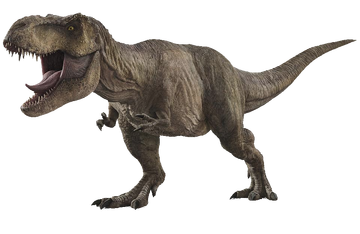 360° T-Rex Dinosaur attacks YOU in VR 